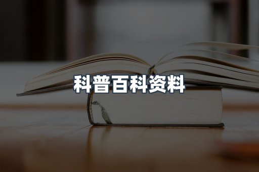 外文电子书系列